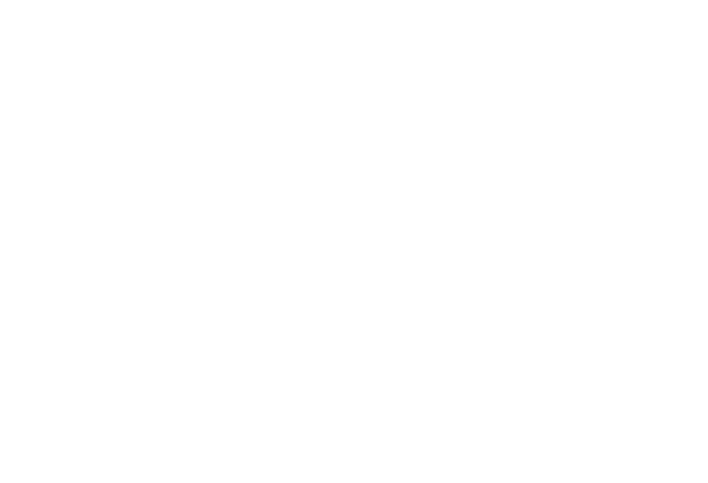 spurverbreiterli.ch-Logo